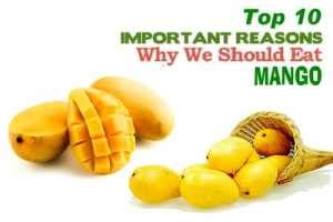 concentrix mango|Iba pa.